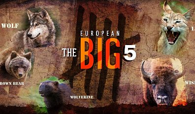 Overeenkomstig compromis steeg Big 5 van Europa