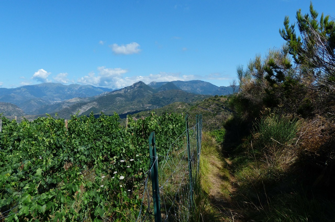 Natuurpark Ligurische Alpen Italië